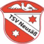 cropped-logo-tsv-neusaess.png